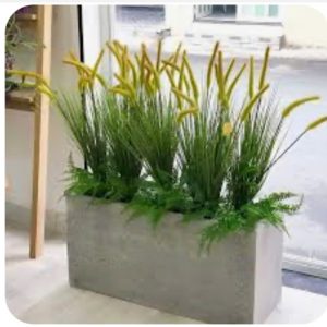 Bồn Cỏ Đuôi Chồn Giả Vintage Trang Trí Cửa Hàng, Studio, Tiệm Quán, Văn Phòng, Nhà Cửa – Cao 1m1