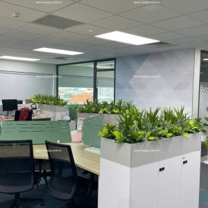 Mẫu hộc cây văn phòng VP0509