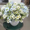 Chậu hoa để bàn cúc xanh 30cm