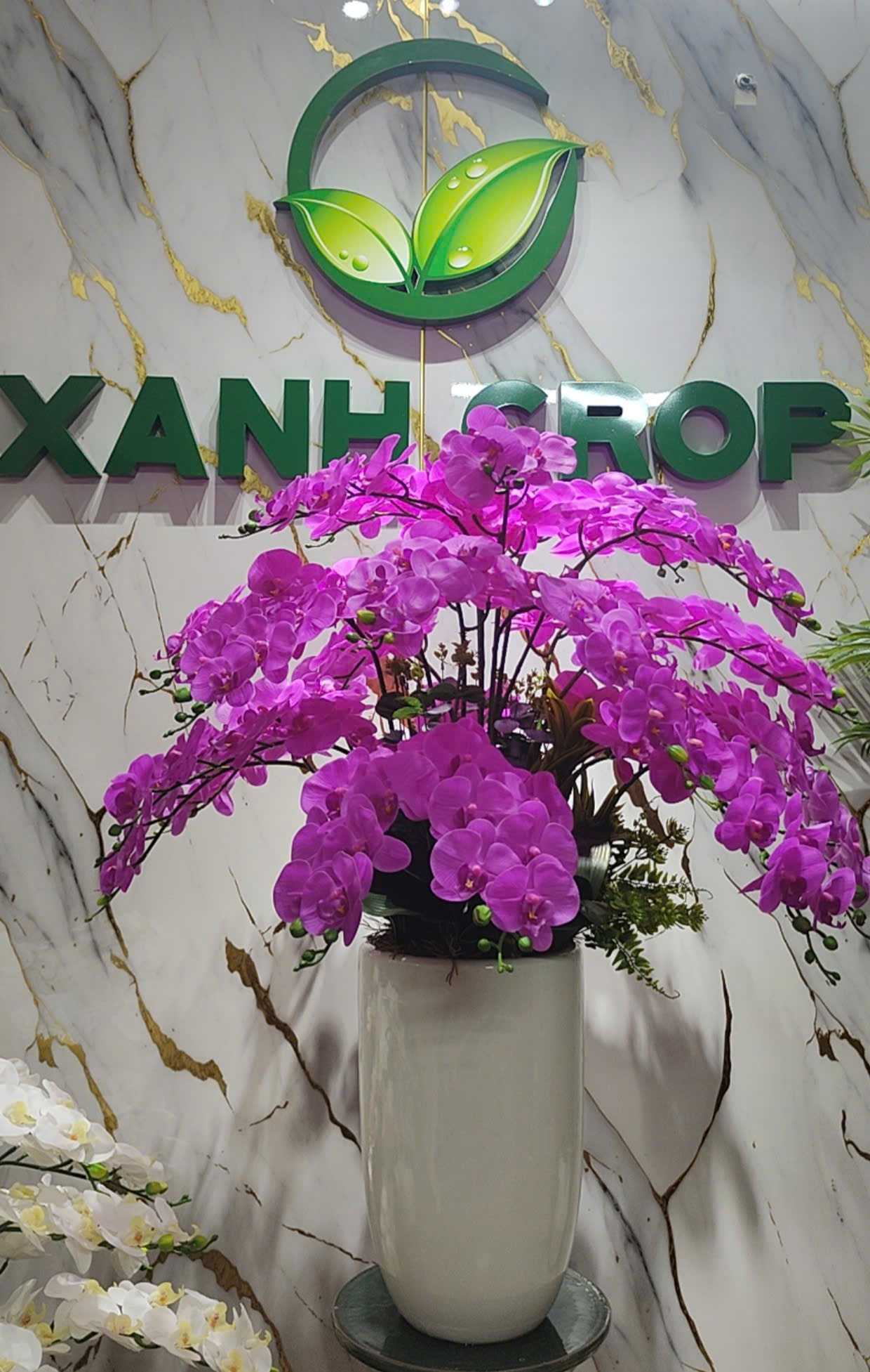 Chậu hoa lan giả cao 1m2 - Ảnh 2