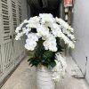 Chậu hoa lan màu trắng giả cao 90cm 1m