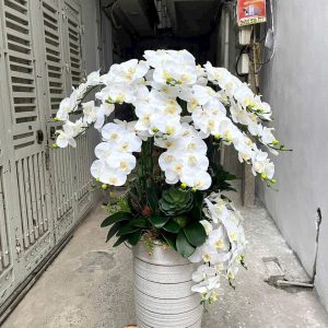 Chậu hoa lan màu trắng giả cao 90cm 1m