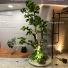 Tiểu cảnh cây giả 0510