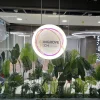 Tiểu cảnh cây giả 2210