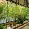 Tiểu cảnh cây giả 2310