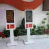 Tiểu cảnh cây giả 2910