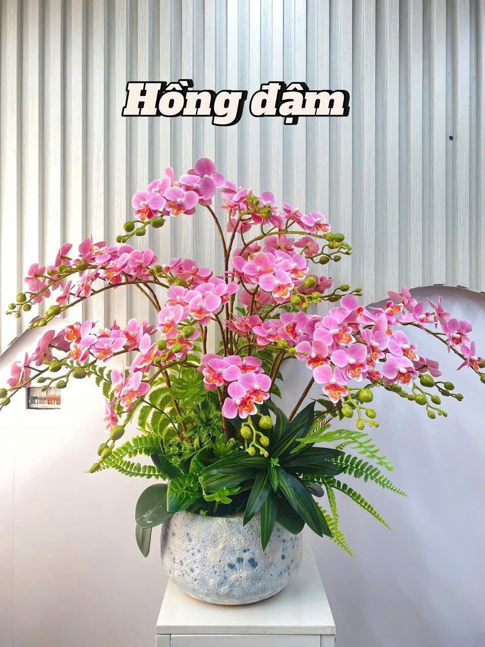 Cây lan giả nhiều màu - Mix theo yêu cầu - Ảnh 7