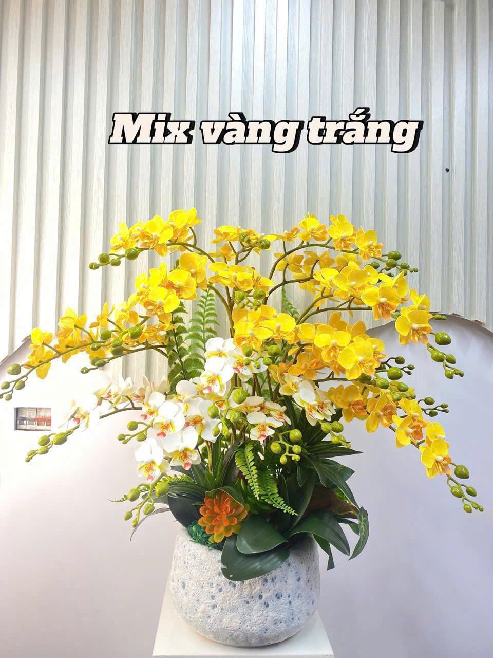 Cây lan giả nhiều màu - Mix theo yêu cầu