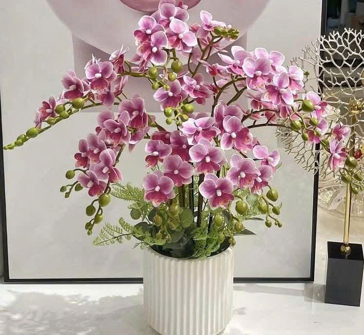 Cây lan giả nhiều màu - Mix theo yêu cầu - Ảnh 2