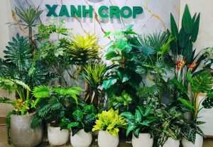 Địa chỉ mua cây giả TPHCM uy tín - Xanh Crop