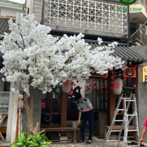 Cây Đào Giả XanhCrop8 |Thiết Kế Theo Yêu Cầu