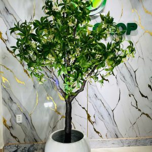 Cây hoa sữa giả
