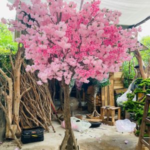 Cây Đào Giả Xanh Crop