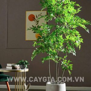 Cây me tây giả