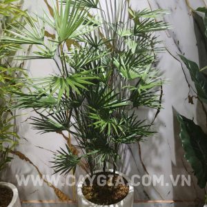 Cây tài lộc giả