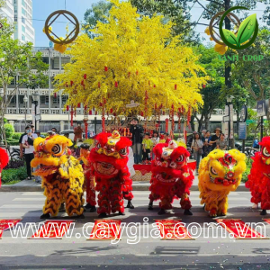 Thiết kế và thi công cây mai giả - Xcrop08