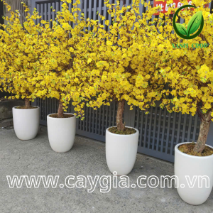 Thiết kế và thi công cây mai giả - Xcrop10