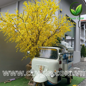 thiết kế và thi công cây mai giả