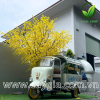 thiết kế và thi công cây mai giả
