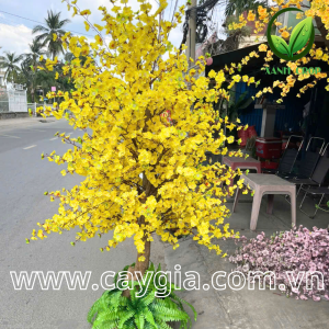 thiết kế và thi công cây mai giả