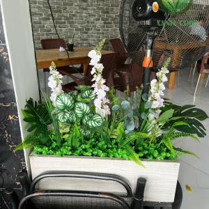 bục cây văn phòng