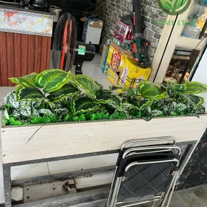 bục cây văn phòng