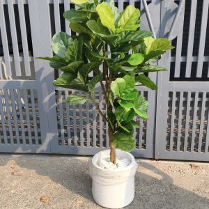 Cây bàng giả