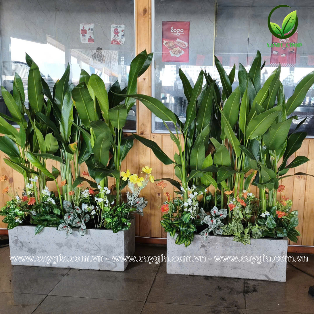 Thi Công Bục Cây Giả