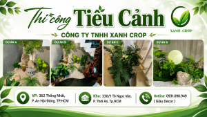 Thi Công Tiểu Cảnh Cầu Thang