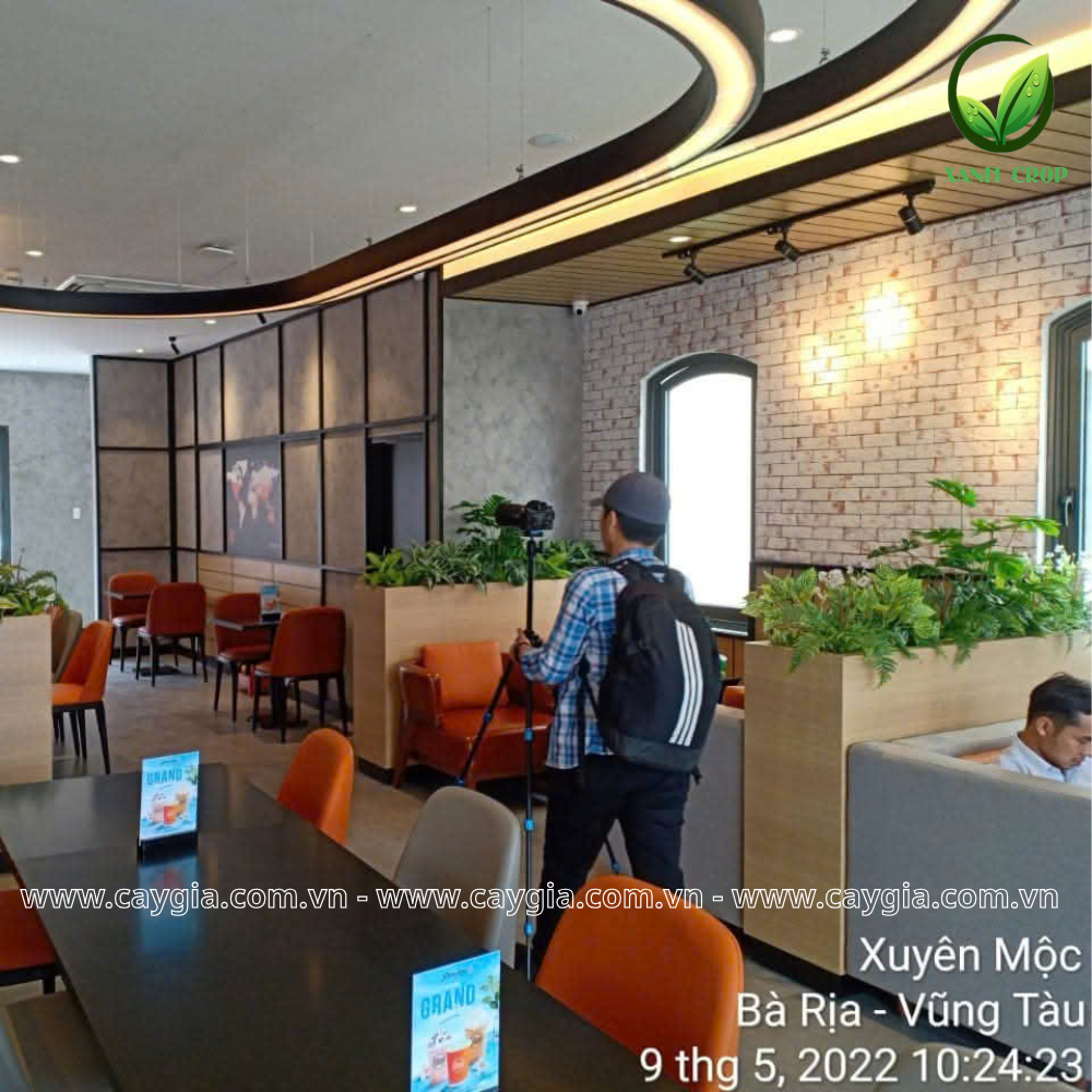 Thi công bục cây giả