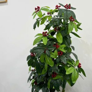 Cây Ngân Lượng Giả Cao 1.6m Quả Đỏ Trang Trí Sang Trọng