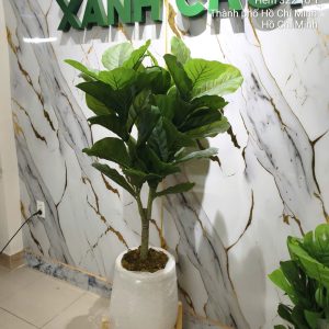 Chậu cây bàng giả cao 1.5m