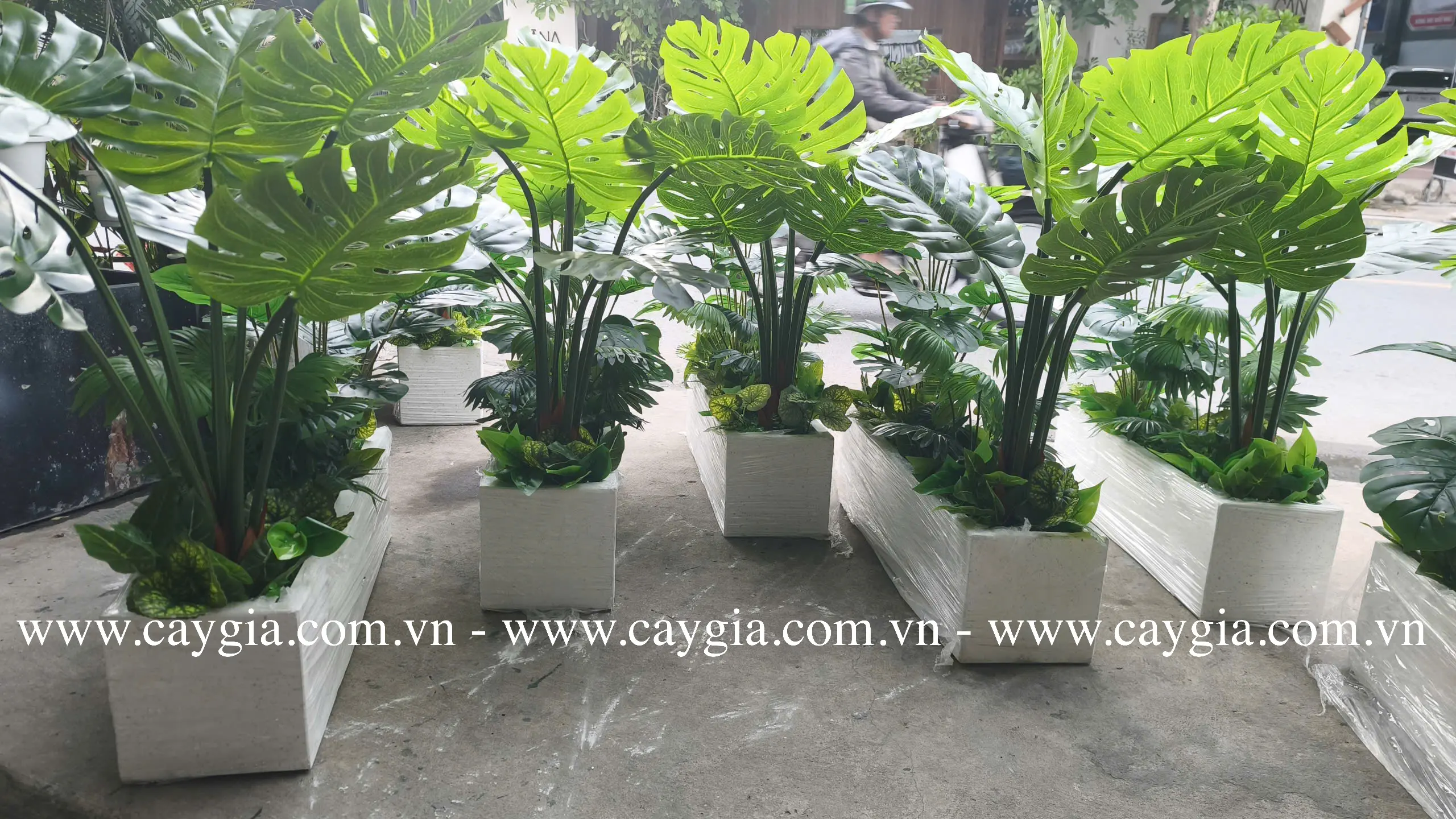 Bục Cây Giả Montera 100*70*20 – Mảng Xanh Bản Mảnh Bục Cây Giả Montera 100*70*20 – Mảng Xanh Bản Mảnh