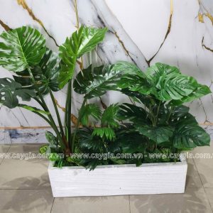 Bục Cây Giả Montera 100*70*20