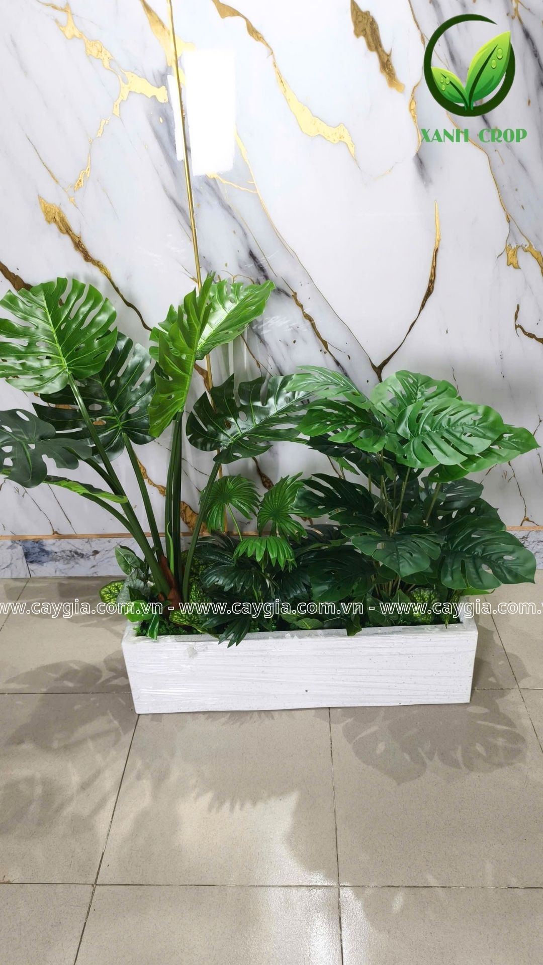 Bục Cây Giả Montera 100*70*20