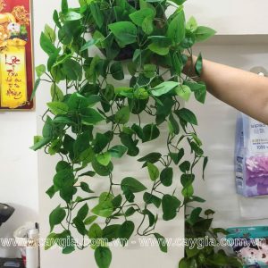 Cây Giả Treo Tường