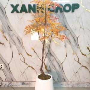 Chậu Cây Đinh Lăng Giả Cao 1,7m mẫu lá thu vàng