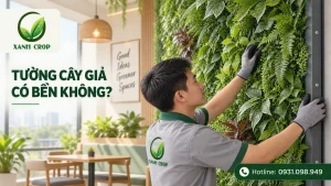 Tường cây giả có bền không