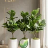 Chậu cây bàng giả cao 1.2m